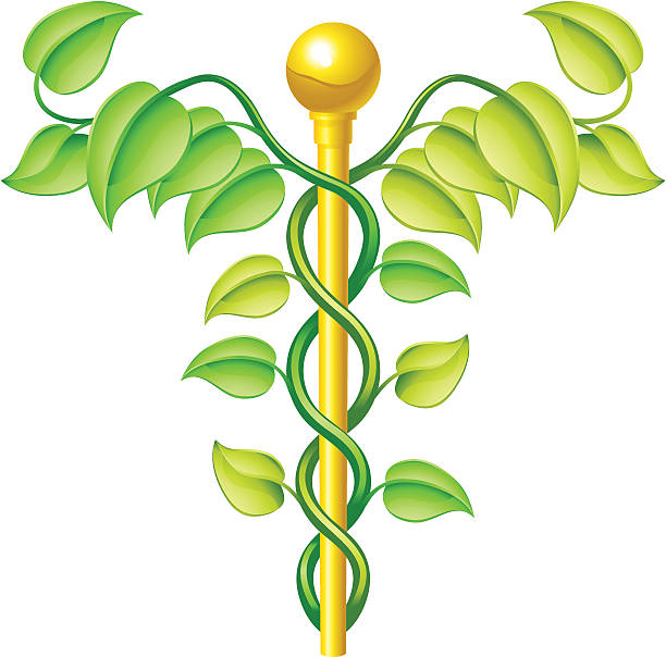 натуральный кадуцей концепции - alternative medicine caduceus homeopathic medicine chinese medicine stock illustrations