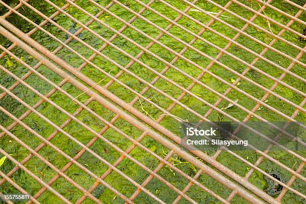 Glony W Dobrze - zdjęcia stockowe i więcej obrazów Bez ludzi - Bez ludzi, Fotografika, Glony