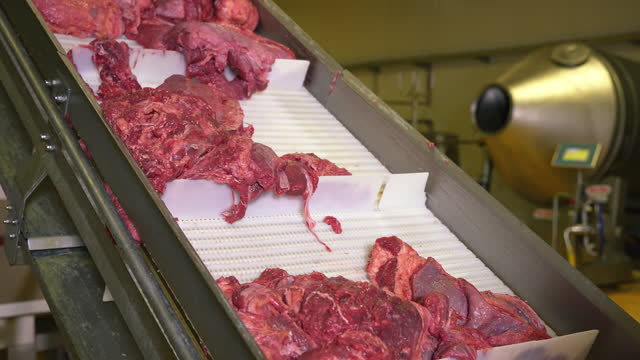 Pieces of meat on a conveyor belt in a meat factory.