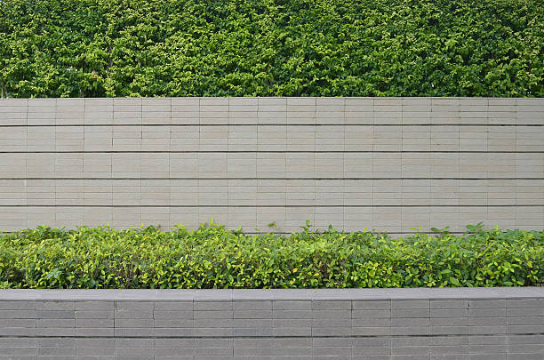 istock garden on a brick fence 155758957