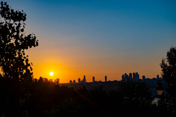istock Silhouette tree slope with sunny beams 1557608853