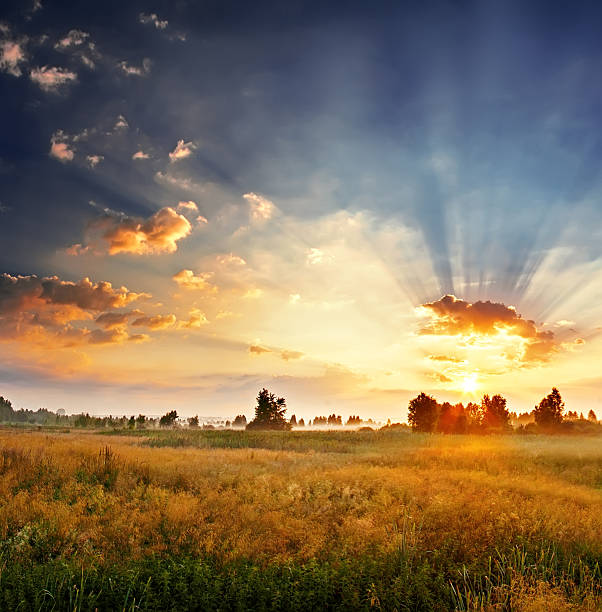istock Landscape, sunny dawn in a field 155763624