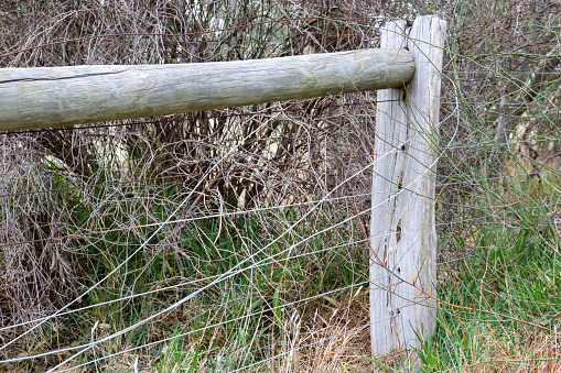 old wooden post and wire fence in scrub