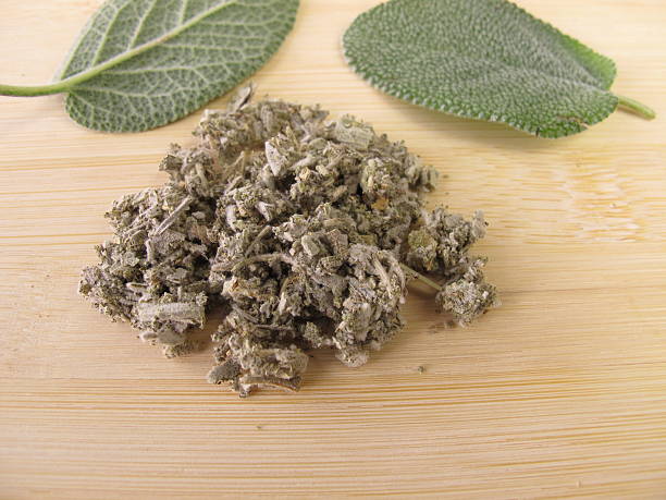 istock Garden sage, Salviae folium 155766249