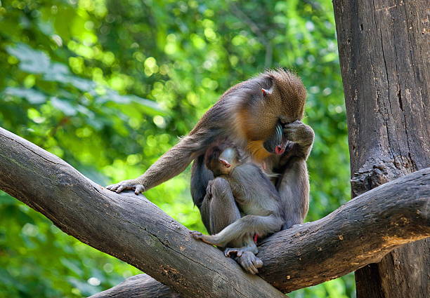 istock Mother and child 155766519