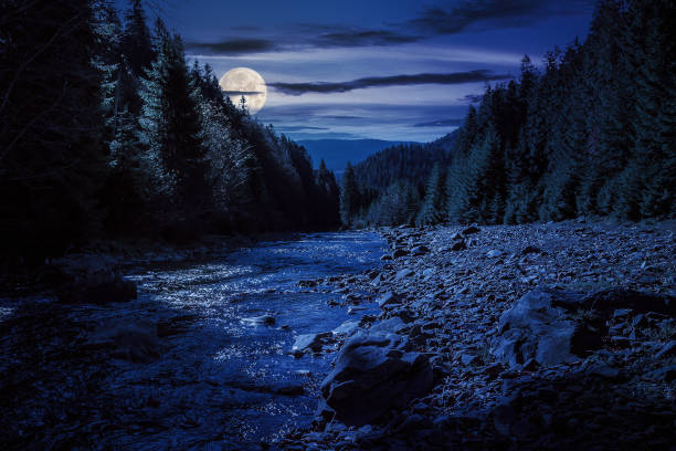istock autumn landscape at night 1557676282