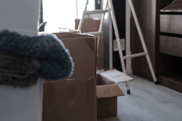 istock house moving, packed unpacked carton boxes, messy home 1557705497