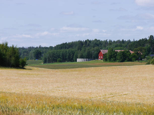 istock Scenic view of a field against the sky 1557713376