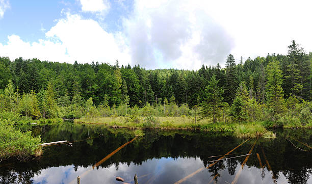 istock Lake Scenery Kuusamo Finland 155772245
