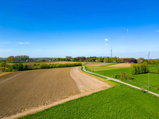 Aerial view of a rolling agricultural area of the pajottenland in Belgium, Europe and green wavy fields in sunny day. Aerial photography, top view drone shot. Belgian agrarian region, Europe. Picturesque wallpaper. Beauty of earth. High quality photo vista aérea de una zona agrícola ondulada de pajottenland en bélgica, europa y campos verdes ondulados en días soleados. fotografía aérea, vista superior de drones. región agraria belga, europa. papel tapiz pintoresco. belleza de la tierra.
