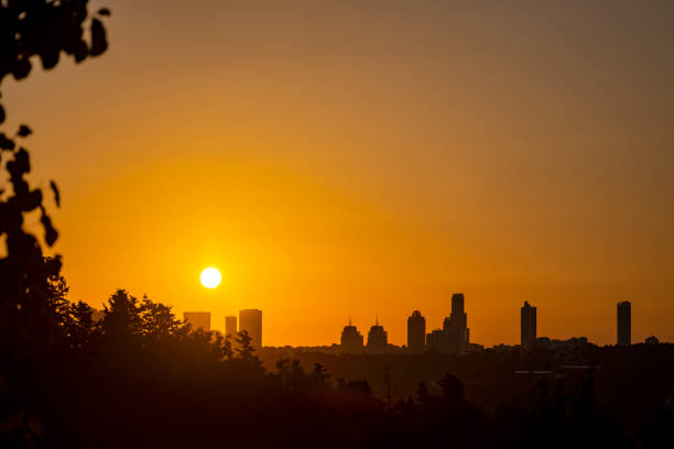 istock Silhouette tree slope with sunny beams 1557758424