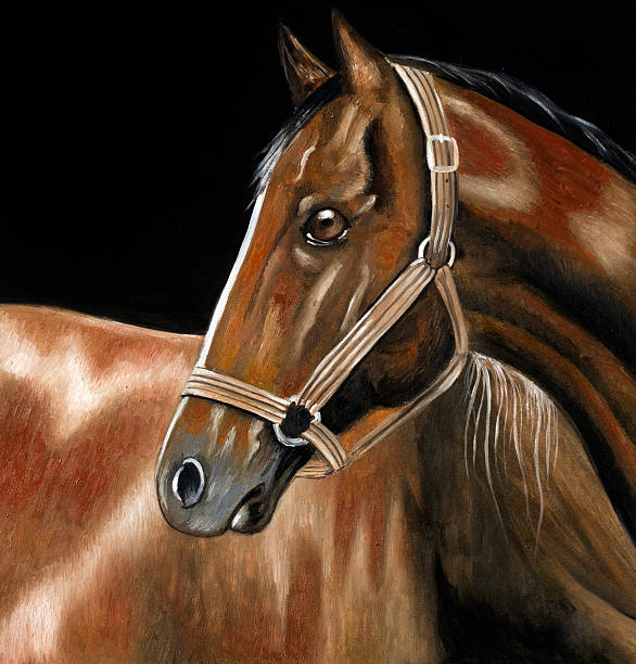 Brown-konie – artystyczna grafika wektorowa