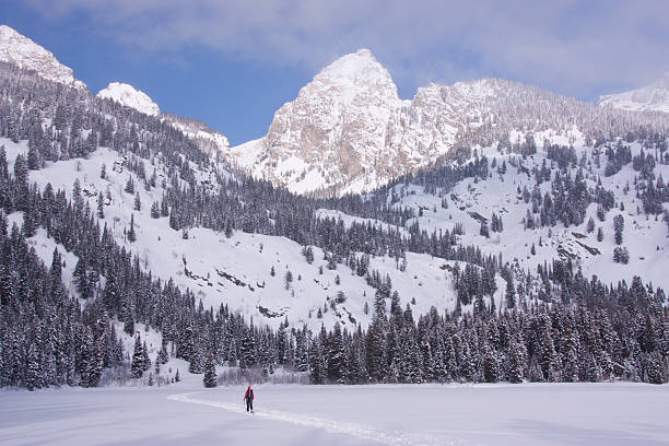 prática de esqui alpino em wyoming - telemark skiing fotos - fotografias e filmes do acervo