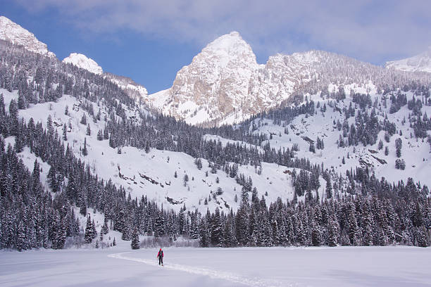 райдершей на лыжах в штате вайоминг - ski skiing telemark skiing winter sport стоковые фото и изображения