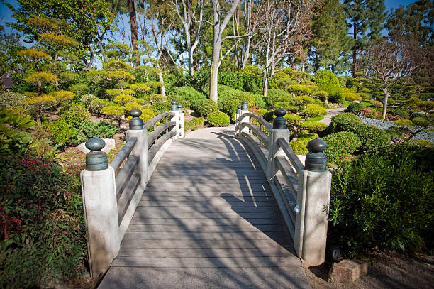 Japanese garden bridge stock photo