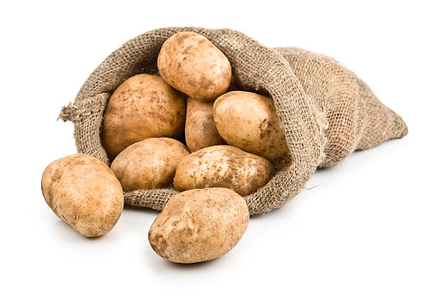 istock Raw Harvest potatoes in burlap sack 155779800