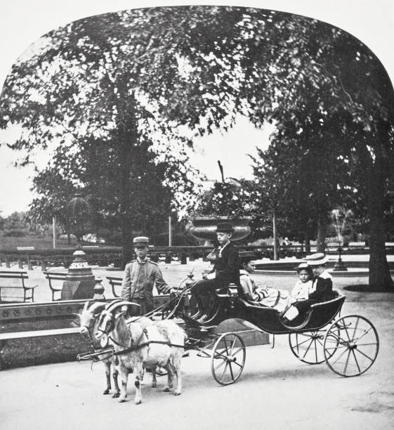 istock New York City, goat team and carriage, Central Park, 1871 1557799639
