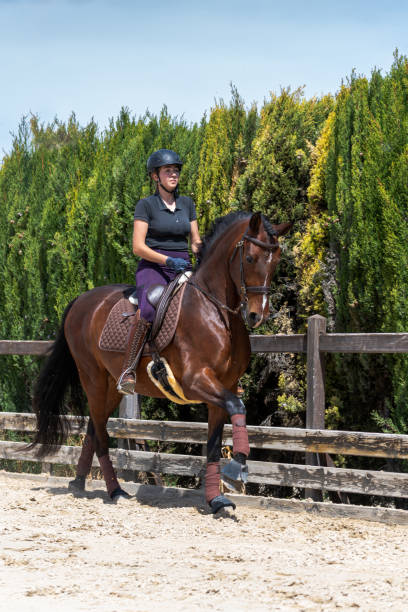 istock Young woman in horseback riding class 1557827200
