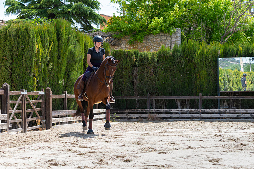 At an equestrian training center, a young jockey rides a thoroughbred horse. Equestrian training in dressage and riding. Young woman practicing horse riding in her spare time.