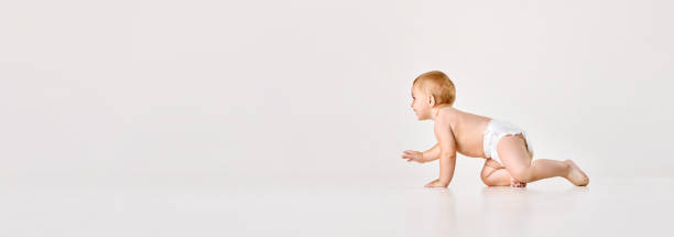 istock Little baby, child crawling on floor, playing against white studio background. Curiosity. Banner 1557836249