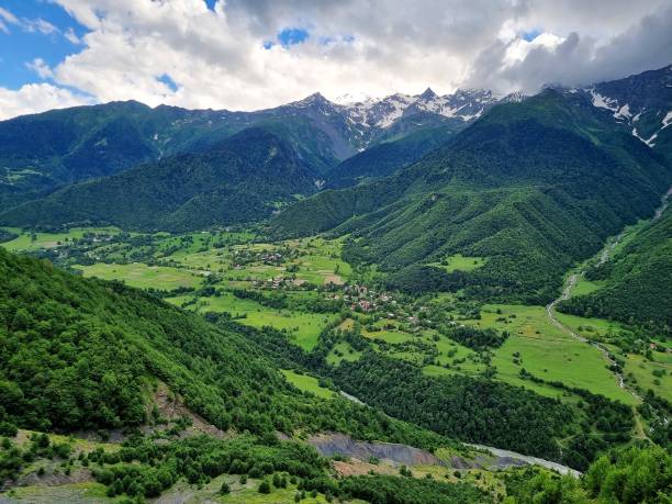 istock Green valley of Patara Enguri River (Georgia) 1557856559