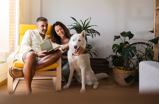mature couple armchair reading book with their dog sitting, cozy home, well-being security.
