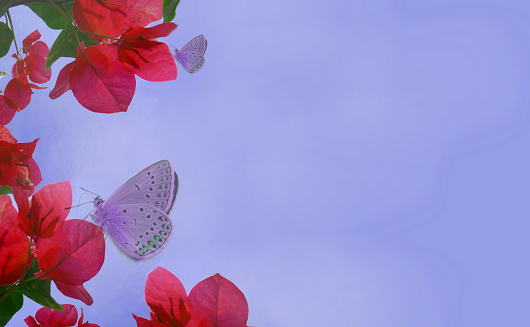 Dreamy fantasy garden, tropical flowers and butterflies on blue sky background with copy space. Fairy magic atmospheric mood