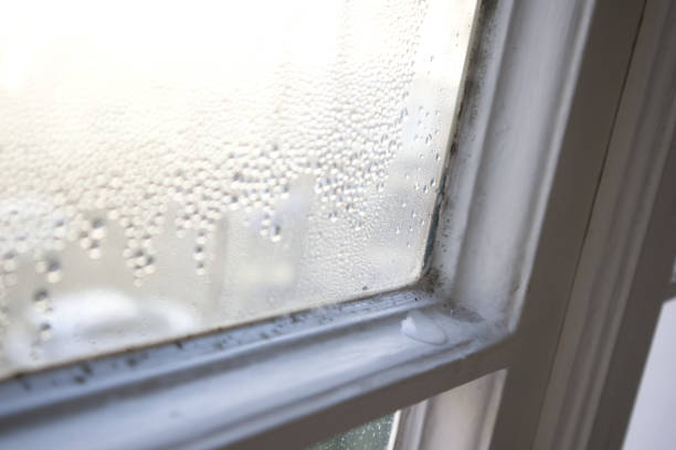 istock Mold and condensation on windows close-up 1557937583