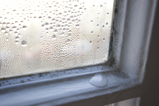 Mold and condensation on windows close-up