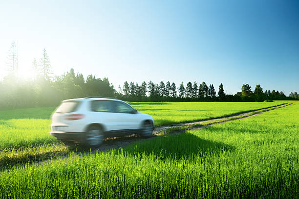 istock White car driving along path in middle of green grass 155796330