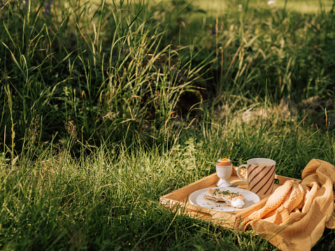 Typical egg and swedish caviar crisp bread smörgåskaviar salted cod roe breakfast with coffee
Photo taken in natural light outdoors in summer