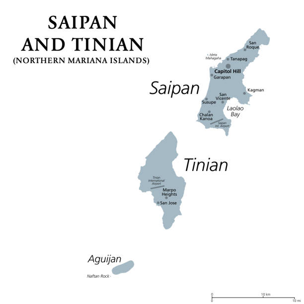 Saipan Map Outline Saipan And Tinian Northern Mariana Islands Gray Political Map 