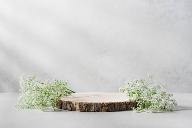 istock Wooden cut round podium pedestal 1557973916