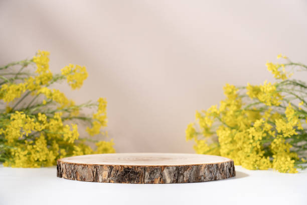 istock Wooden cut round podium pedestal 1557981664