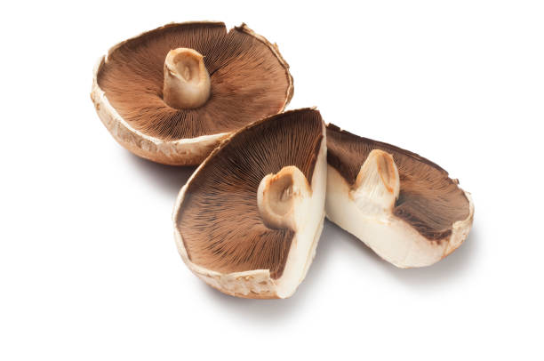 istock Large Portobello Mushroom 1557992243