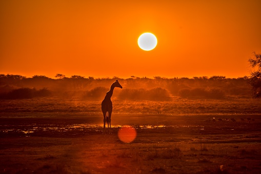 Sunset in Southern Africa