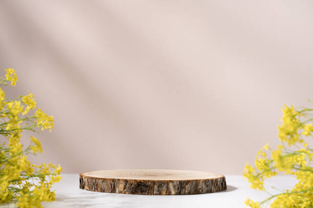 Wooden cut round podium on beige background