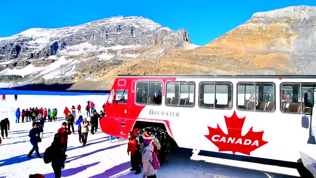 Massive Ice Explorers, designed for glacier travel, take tourists onto the surface of the Athabasca Glacier , Canada