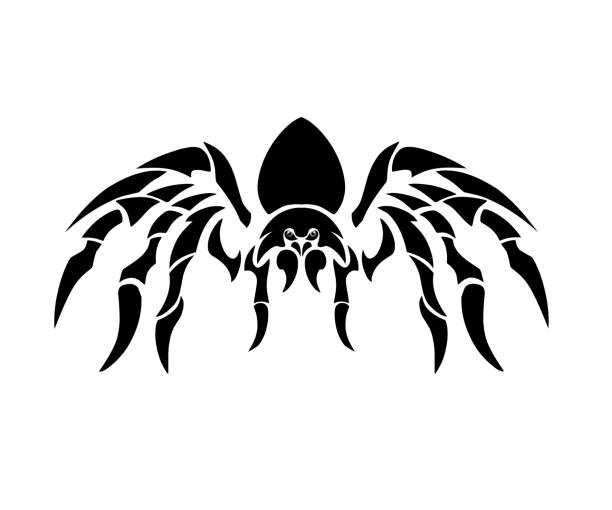 illustration vector graphic of tribal art design tarantula spider illustration vector graphic of tribal art design tarantula spider with tattoo symbol style and others spider tribal tattoo stock illustrations