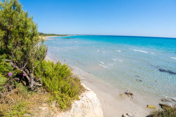istock Bay of Turks 1558073906