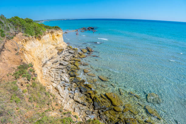 istock Bay of Turks 1558073912