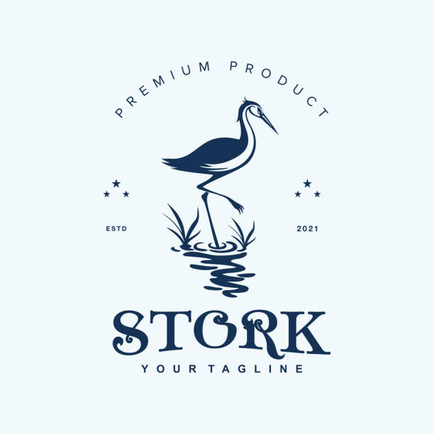 Bird Stork Logo Design Vector Illustration Template Idea Bird Stork Logo Design Vector Illustration Template Idea swan silhouette on lake stock illustrations