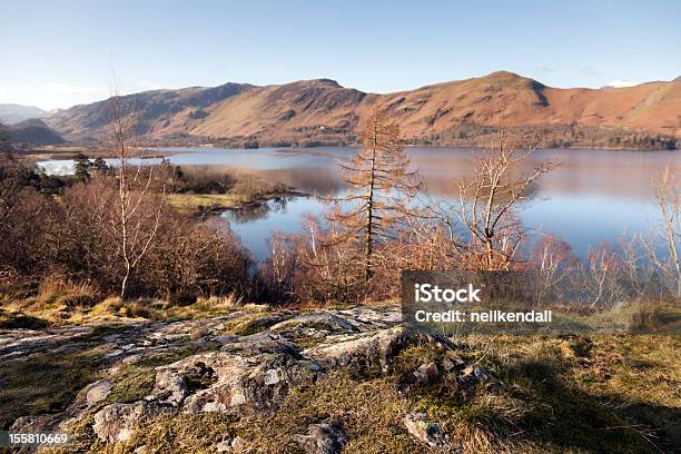 Photo libre de droit de Derwentwater En Hiver banque d'images et plus d'images libres de droit de Arbre - Arbre, Beauté de la nature, Bleu