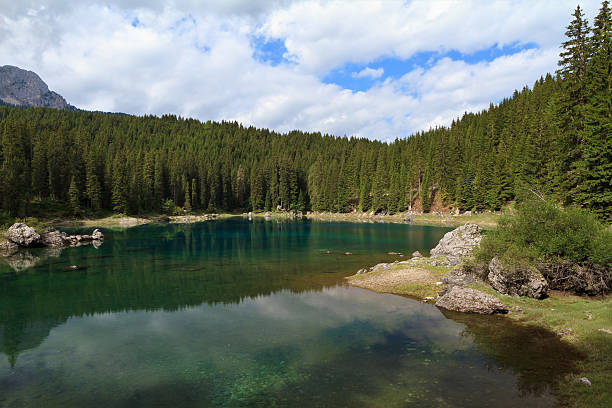 istock Carezza lake, Italy 155810862