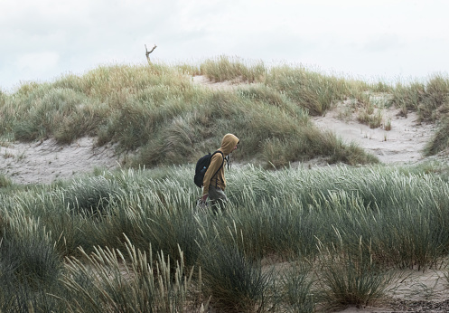 man walks in the dunes on a sandy beach in Denmark