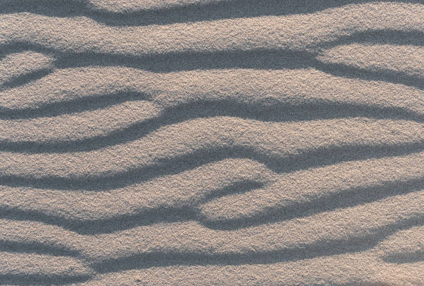 istock texture sand dunes in the desert 1558128506