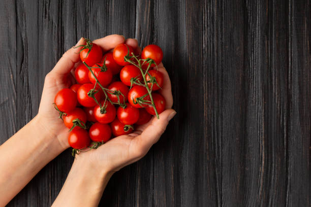 istock Cherry tomatoes in hands on a dark background, copy space, top view. 1558133346