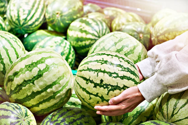 istock Watermelon in hands of buyer 1558181708