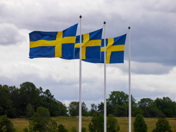 istock Low angle view of flags against the sky 1558182798