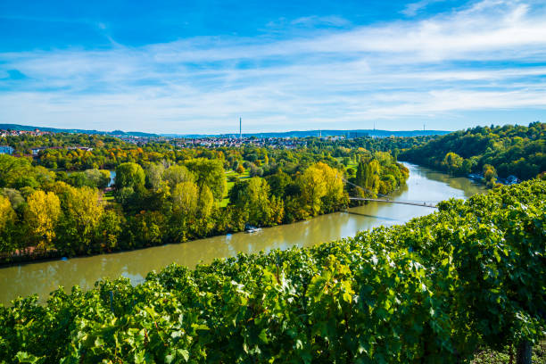 Germany, Stuttgart aerial panorama view, max eyth see, lake water neckar river boat beautiful houses  autumn nature landscape bridge sun television tower